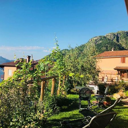 Agriturismo Botton D'Oro Dongo Exterior foto
